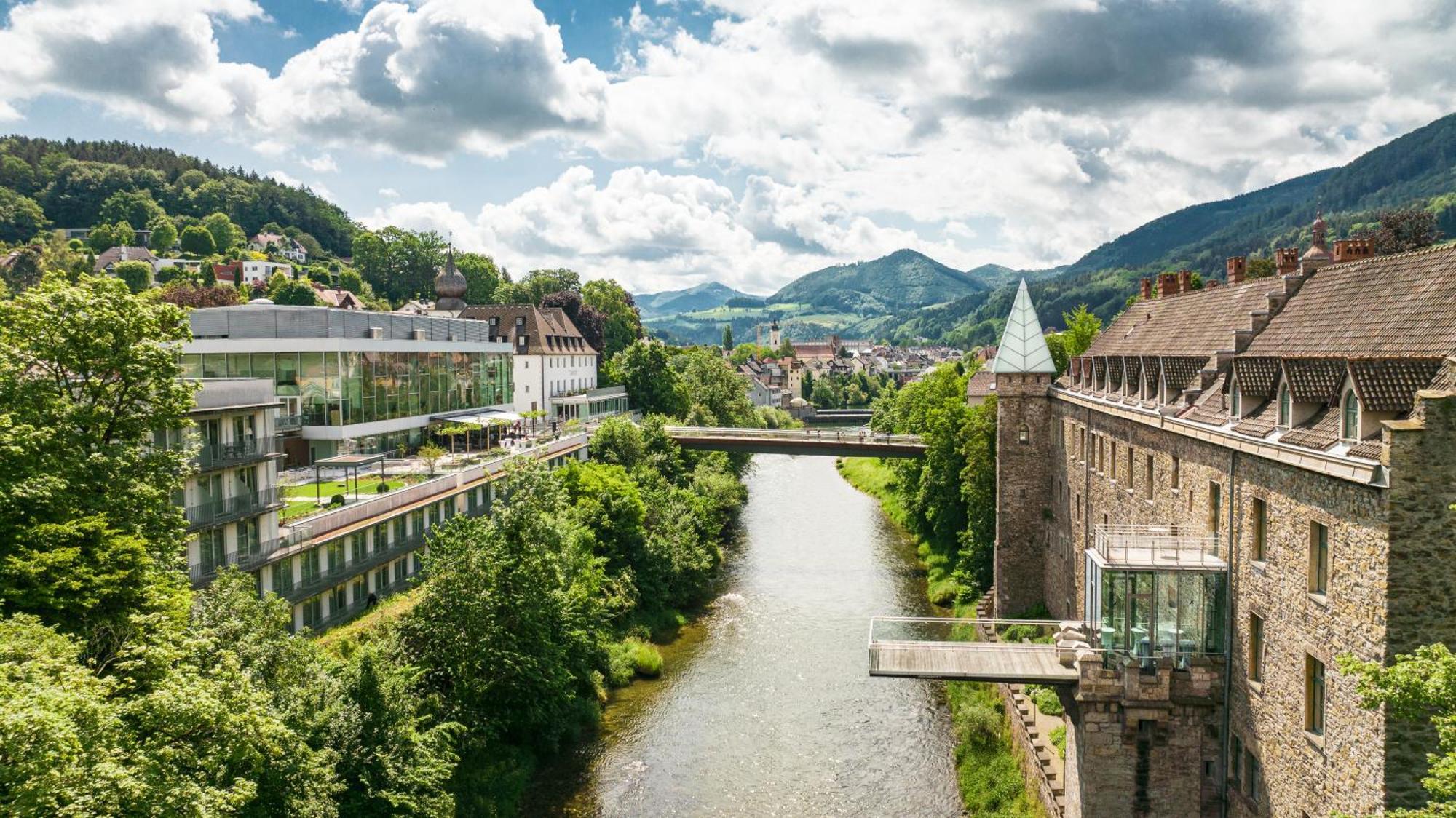 Das Schloss An Der Eisenstrasse Waidhofen an der Ybbs Bagian luar foto